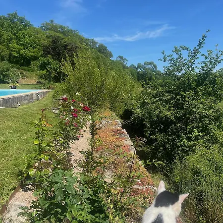 Aurifat Cordes-sur-Ciel